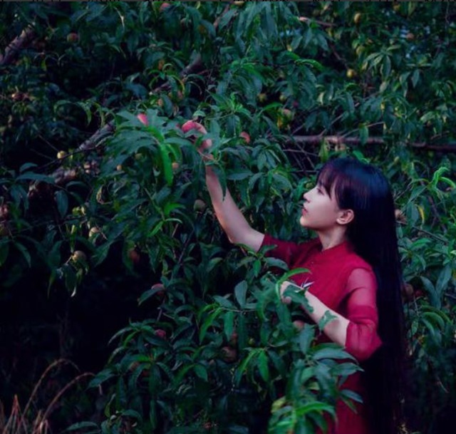 曬曬李子柒住的豪宅,四周全是農(nóng)田植物,生活在這里仿佛世外桃源