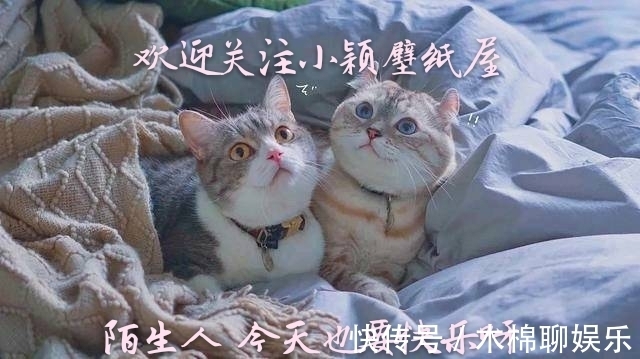 头像|神仙·男生头像丨燕子不归春事晚，一汀烟雨杏花寒