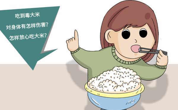 糖分|胖是因为主食吃得多主食怎样搭配才健康医生列举几类供你选择