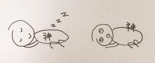 气血|秋天不养，一年白忙！到了秋季，几个简单的养生宜忌，一定要知道