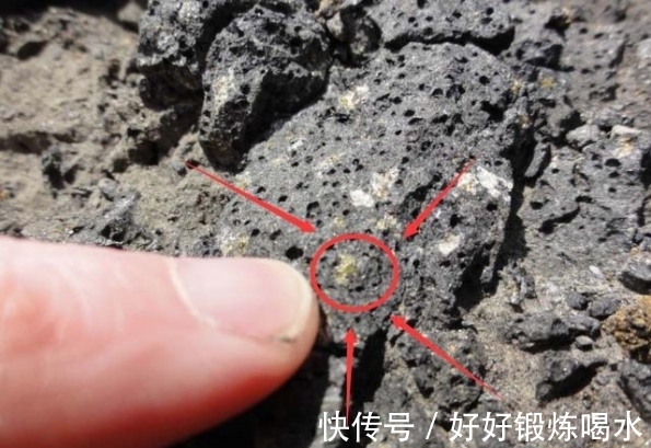 整天活|非洲有种“钻石草”，当地人称这是财富的来源