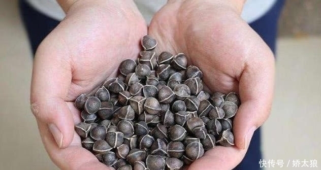 男人味|男人40岁后,白开水里加点“它”!激发“雄激素”,更有男人味