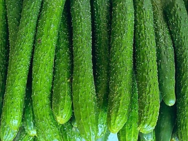 维生素c|一根黄瓜,一家四口全住院,吃黄瓜必须避开的4个禁忌!