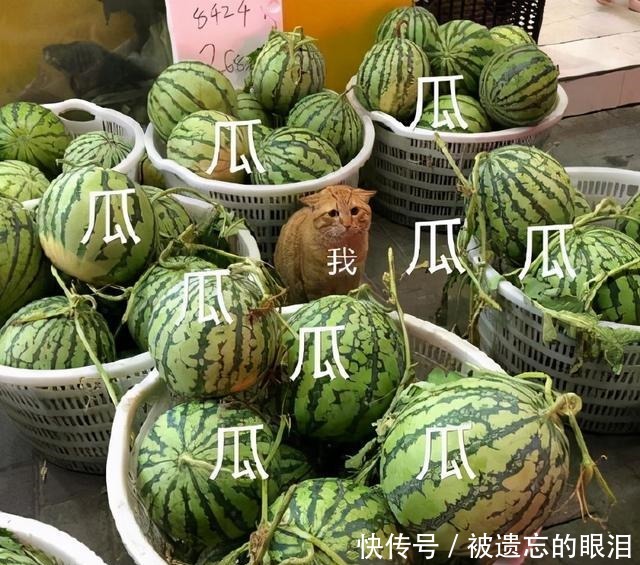 及谭凯kevin及林更新恋情新瓜太炸了：7年交易8个女友此次玩得有点大（一天之内内娱出了10个瓜爱情、、私生子个个离谱）？黄晓明“愉快豆”回应激励全民吃瓜高潮：AI期间怎么应对妄言
