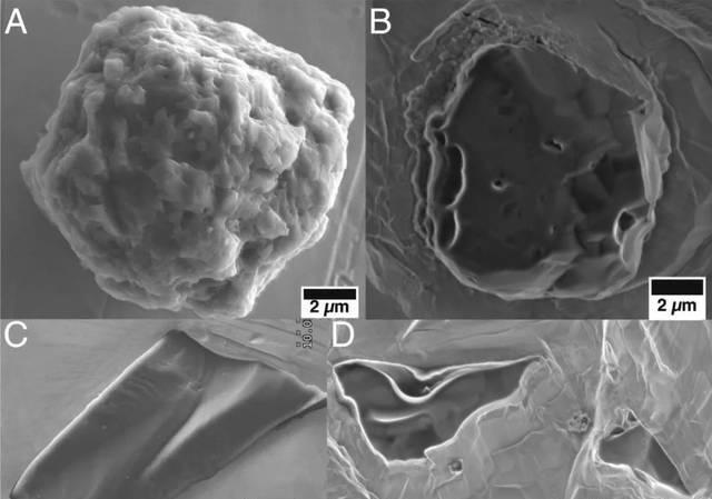 科学家在一块怪石头里,发现了一条来自70亿年前的信息