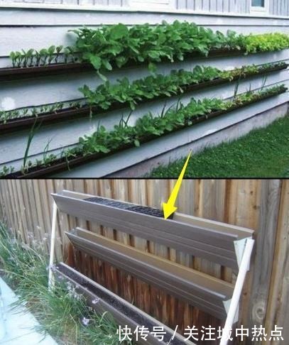 不在院子地上种菜,墙上面积这么大,上下3层种蔬菜再合适不过了!