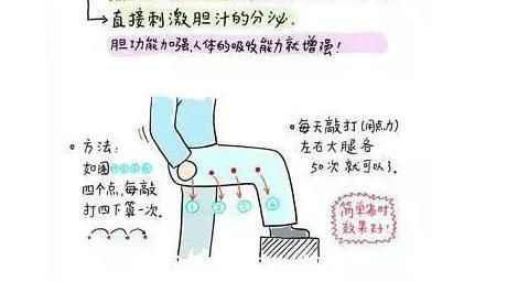 敲胆经|胆经能随便敲吗？敲错反伤身！如何敲胆经，注意事项有什么？收藏