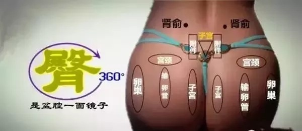 人体|臀部,人体的毒窝,学会这4个动作太重要