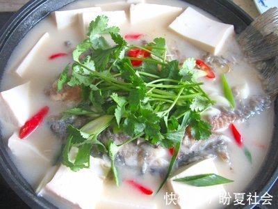 鲫鱼|鲫鱼炖豆腐的最简单做法，汤汁浓郁奶白，鱼肉鲜嫩不粘锅，吃不够
