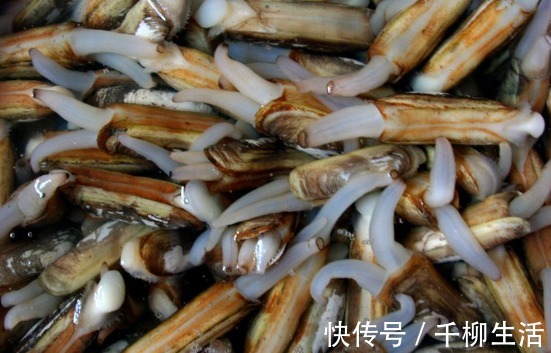 营养|夏季,遇到这肉别错过!一次性买十斤冻起来,营养高味道鲜美!