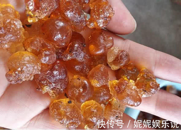 碱性食物|6种天然美容物!虽然“丑”,但女人早晚吃,滋养卵巢,补气血