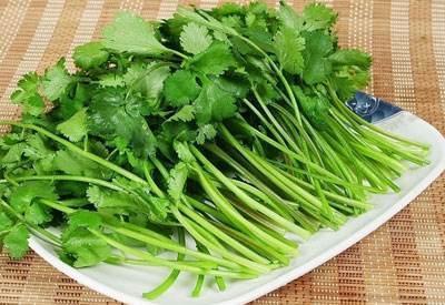 营养物质|香菜煮水太厉害了,竟有如此喜人的作用,值得分享给家人