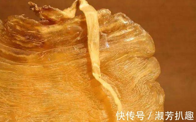 临清|穿山甲:拿我熬药就算了,还要做盔甲?明代它是高级铠甲原材料
