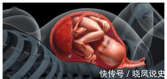 孕妈|肚子里的胎儿，每天都在做什么？别小瞧，他们每天可是“忙得很”