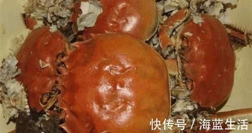植株|花肥不用花钱买，3种“天然花肥”家里就有，花儿用了，枝繁叶茂长得旺