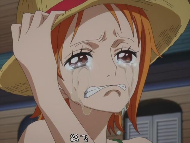 索隆|海贼王995话，草帽团的二把手三把手确定，娜美哭得不成人样？