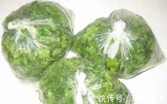 储存香菜,别再放冰箱了!20年大厨教你,放再久都不坏,翠绿新鲜!
