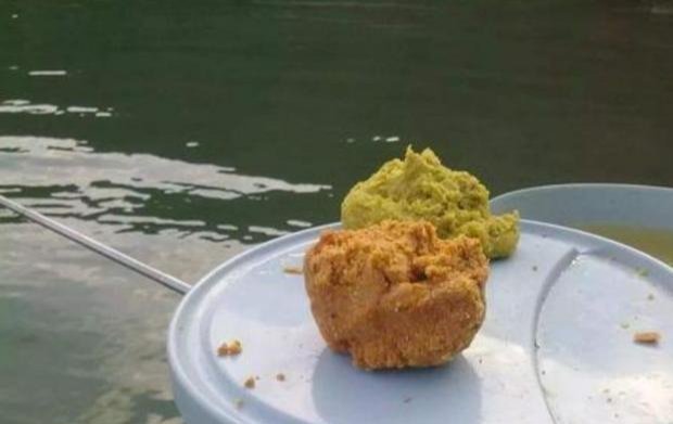 饵料|野钓收获不理想?那是饵料使用错误,这才是野钓用饵的正确方法
