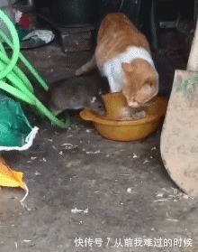 |搞笑GIF:连公司主管都这么搞笑了,这职场混得多有趣啊