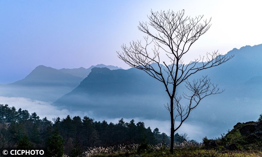 icphoto|冬日即景