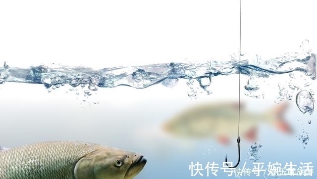 钓鱼可能从来没有想过认真分析这两点，这才是夏季获鱼的要点所在