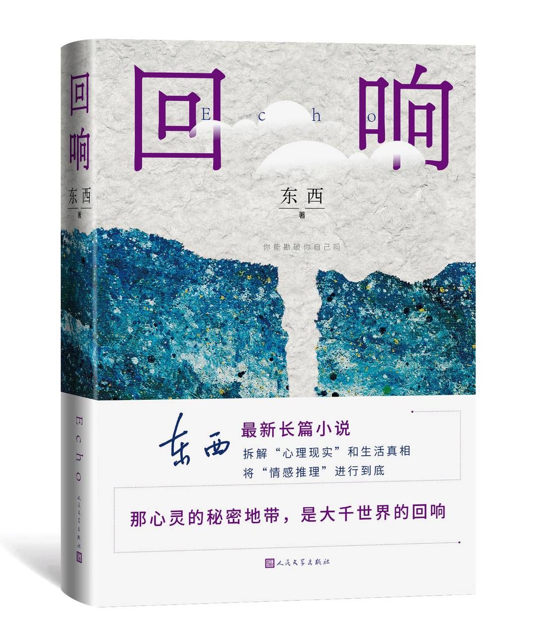 冉咚咚|作家东西用小说发掘“最隐秘的角落”新作《回响》“像侦破案件一样侦破爱情”