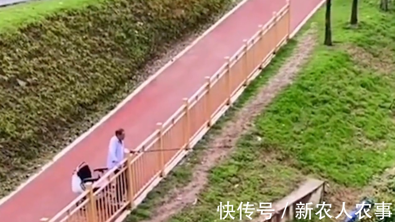 轮椅|钓鱼人!重庆一大爷坐轮椅在河边垂钓,下一秒中鱼竟自己站了起来