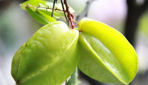 春天想年轻，建议吃的食物，美白肌肤，抑制黑色素形成，身体好