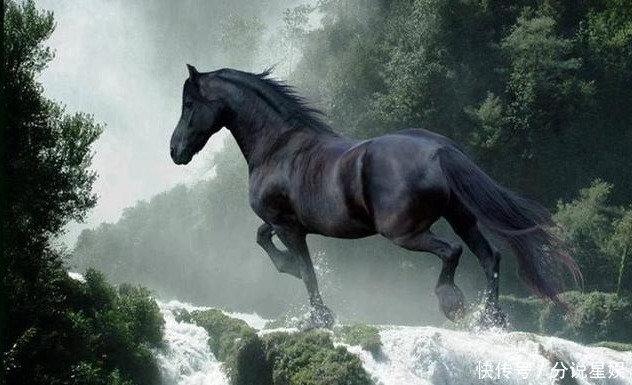 牺牲|中国古代为主牺牲的四匹宝马，三匹生在三国，一匹属于项羽