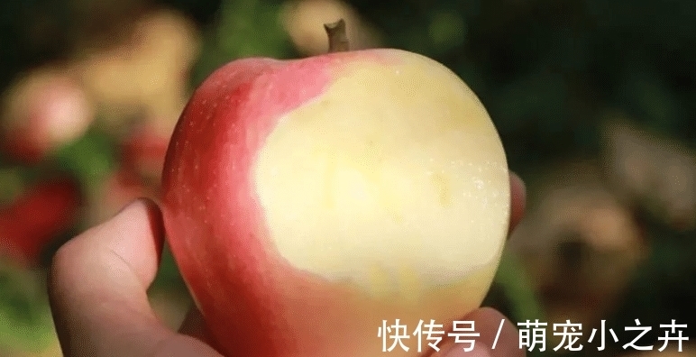 果农|吃葡萄时,用盐还是面粉洗好?果农:错,该这样洗,吃着才放心