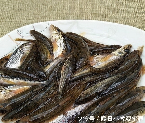 忠告|真的可以避免小杂鱼的骚扰吗?一个老钓鱼人的忠告