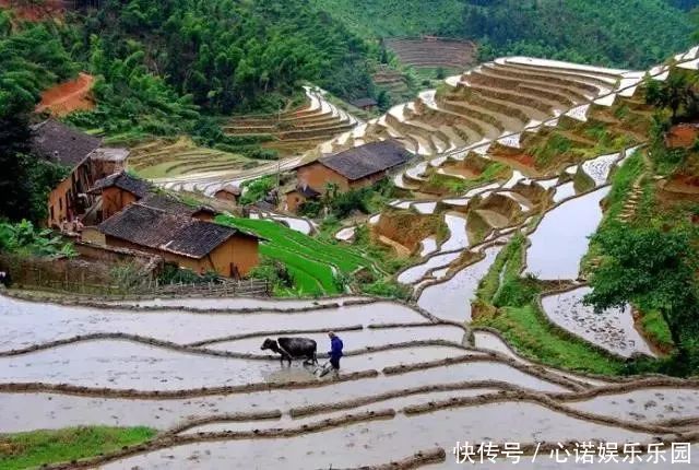 重庆这些绝美的梯田，让你感受宁静的田园风光