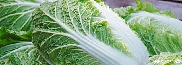 不用炒, 不用炖, 白菜这样做会让你食欲大开!