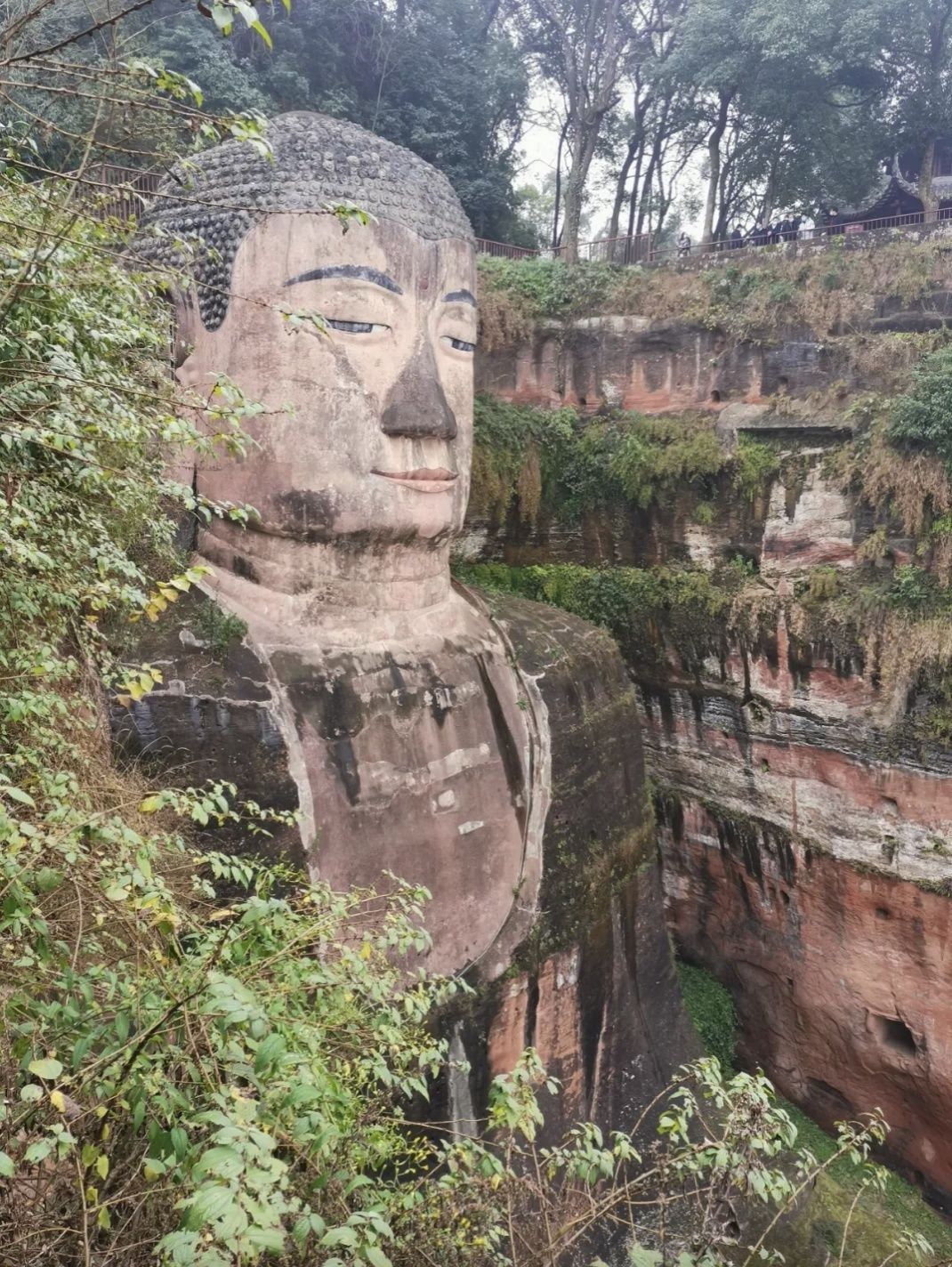 系统性|脸花鼻黑！乐山大佛究竟怎么了？