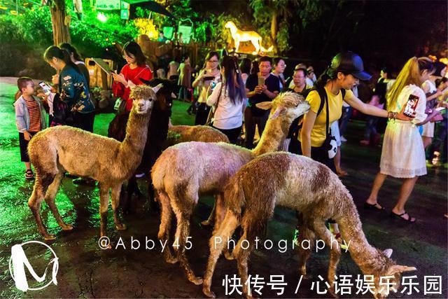 碧峰峡|这个夏天躲到山里度假，早看云海夜观星，还能和百种动物亲密接触