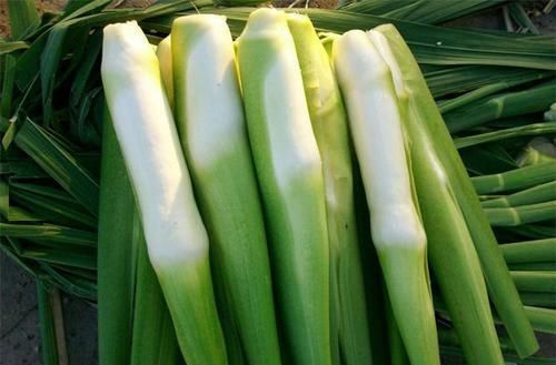 愛美女性，不可錯過的食物。預(yù)防便秘，瘦出小蠻腰，美容養(yǎng)顏