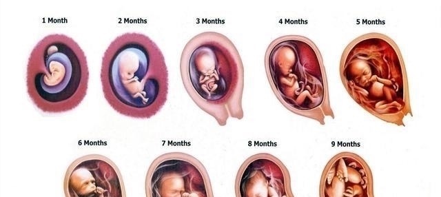 胎儿|怀胎十月“注意事项”一览表，孕妈收藏备用，愿宝宝顺利出生！
