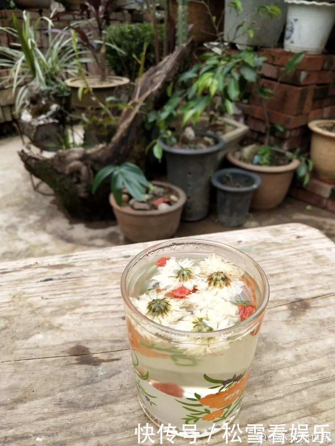 种花|3种花浑身都是宝,能炒菜能煲汤,养在屋里香气飘飘!