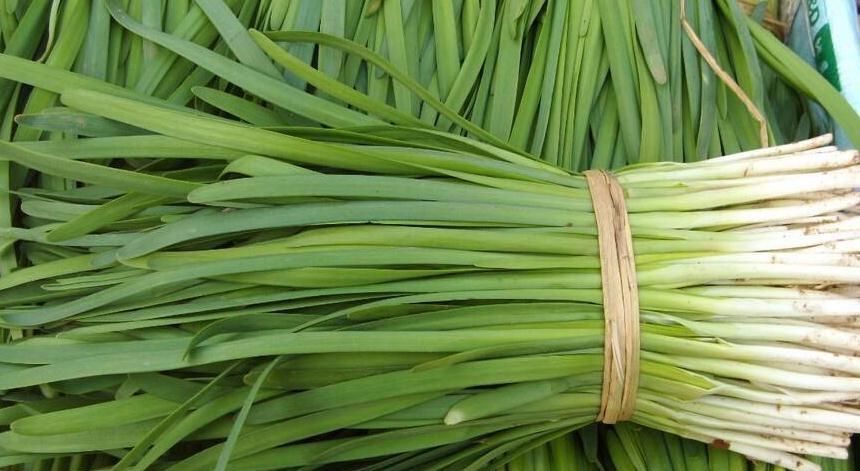 韭菜|韭菜和它是天生的“死对头”,不能一起食用,早知早受益