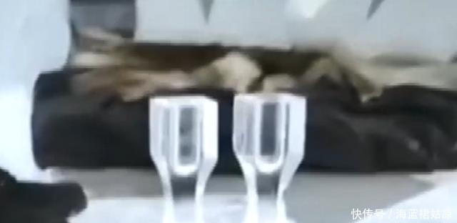 夏天就会消失的酒店,冬天就会重新开放,让你感受北极圈的魅力