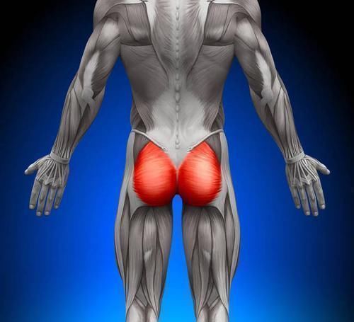 女神|羡慕女神的翘臀身材学会这些方法，让你练出翘臀、不粗腿