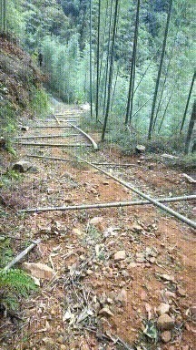 |搞笑GIF：都建功立业了，还是改不掉看见妹子就想抱的冲动