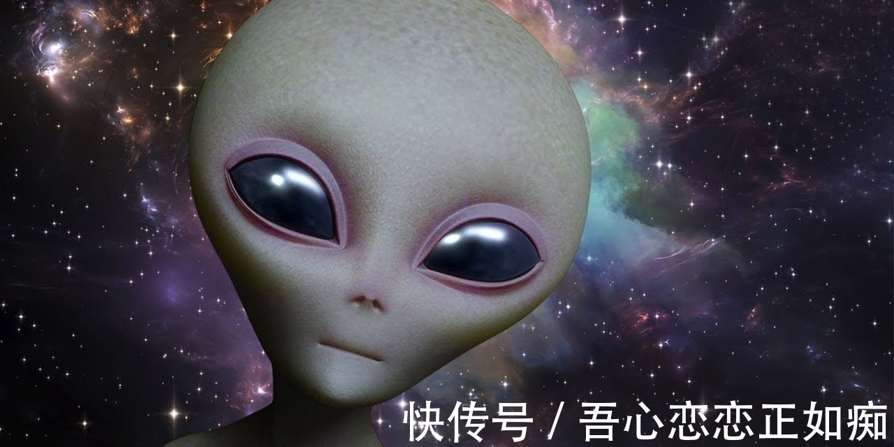 人类|智能机器逐渐成熟，人们的体质越来越弱，人类的历史将会走向何方