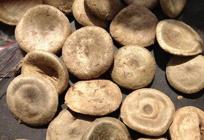 何首乌|这十种中药，用好是良药，没用好是“毒”药