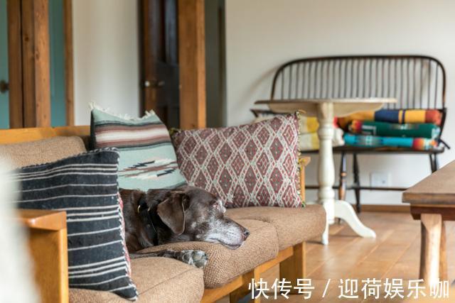 两只狗|70后夫妻的朴素生活:自律18年从不断舍离,家中照样干干净净