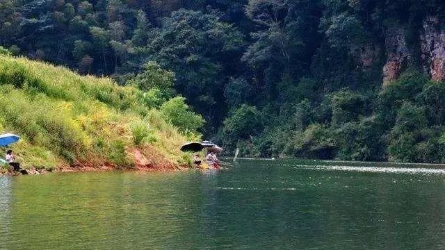 钓友们|找到8个公认的“鱼窝”,可以从早钓到晚,野钓渔获满满不是梦