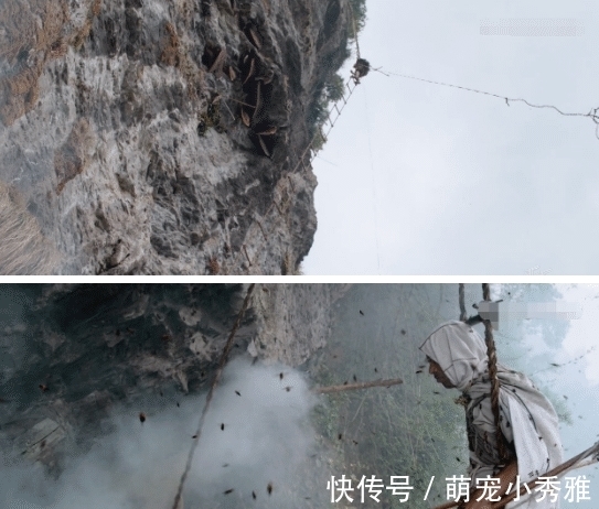 离开《舌尖上的中国》,陈晓卿做了一档更馋人的节目