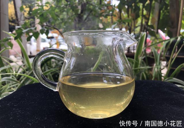  春茶|《老徐鉴茶》389期：凤庆三岔河头春茶品鉴报告（云南茶友寄）