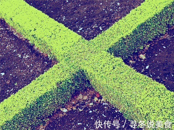 坚强@做人的十句话,这是人生的最高境界