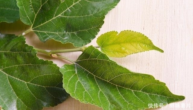 脱发的问题|白发多别着急拔,洗头时加上“它”,白发悄悄黑回来,还能防脱发